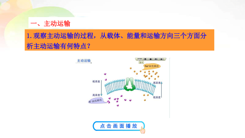 人教版（2019）必修1课件: 4.2主动运输与胞吞胞吐(共23张PPT)