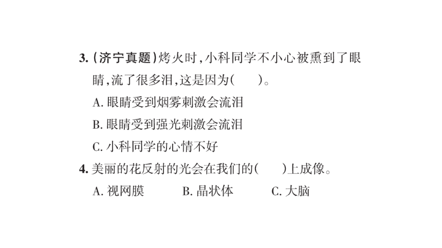 青岛版六年级科学下册第一单元课堂知识回顾与练习 复习课件(共31张PPT)