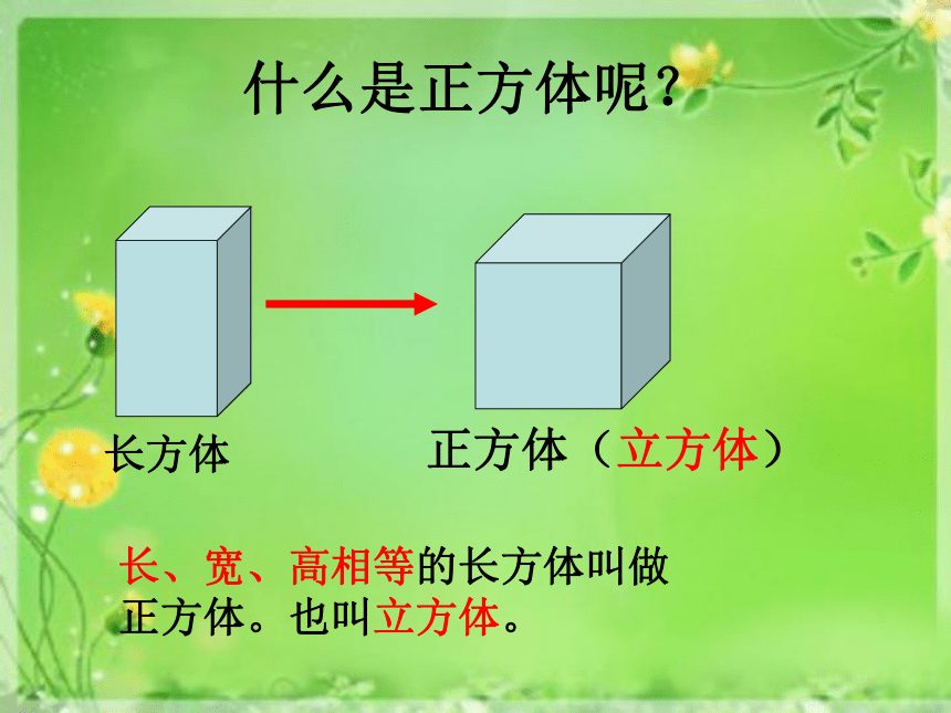 长方体 正方体的认识课件沪教版  (共20张PPT)