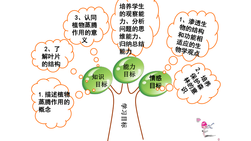 济南版七年级上册生物2.1.2 绿色植物的蒸腾作用课件(共45张PPT)