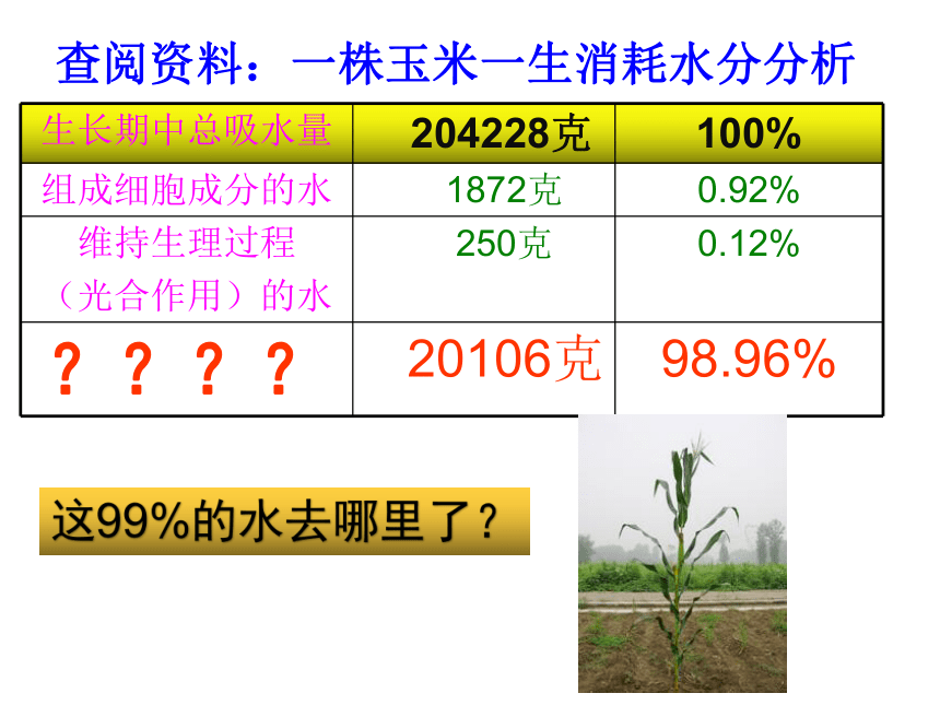 4.5 植物的叶与蒸腾作用（第1课时）（课件 15张ppt）