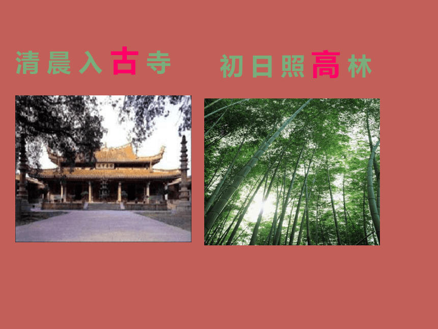 题破山寺后禅院课件 语文版