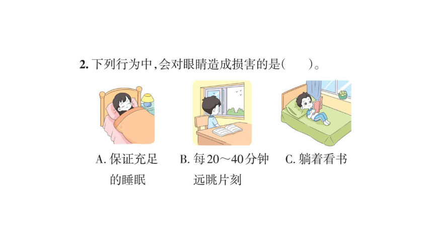 青岛版六年级科学下册第一单元课堂知识回顾与练习 复习课件(共31张PPT)