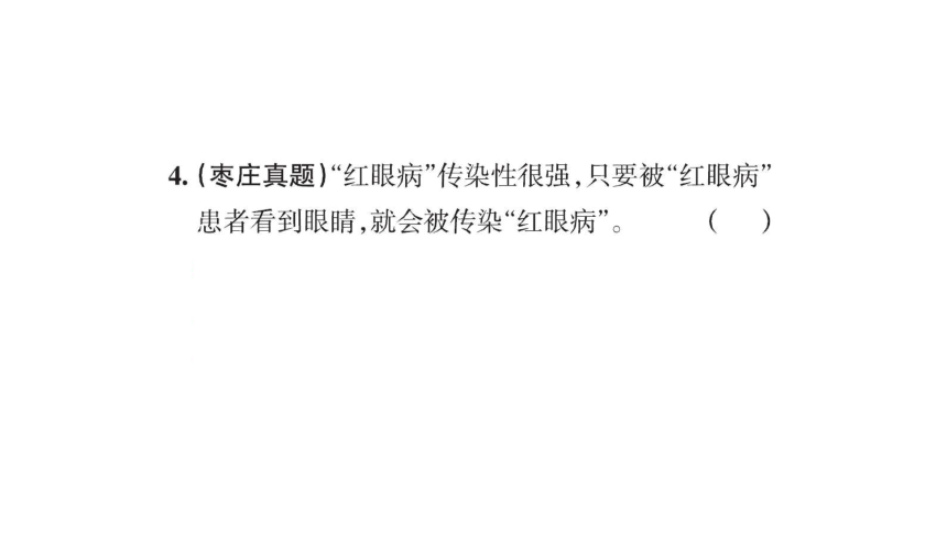 青岛版六年级科学下册第一单元课堂知识回顾与练习 复习课件(共31张PPT)