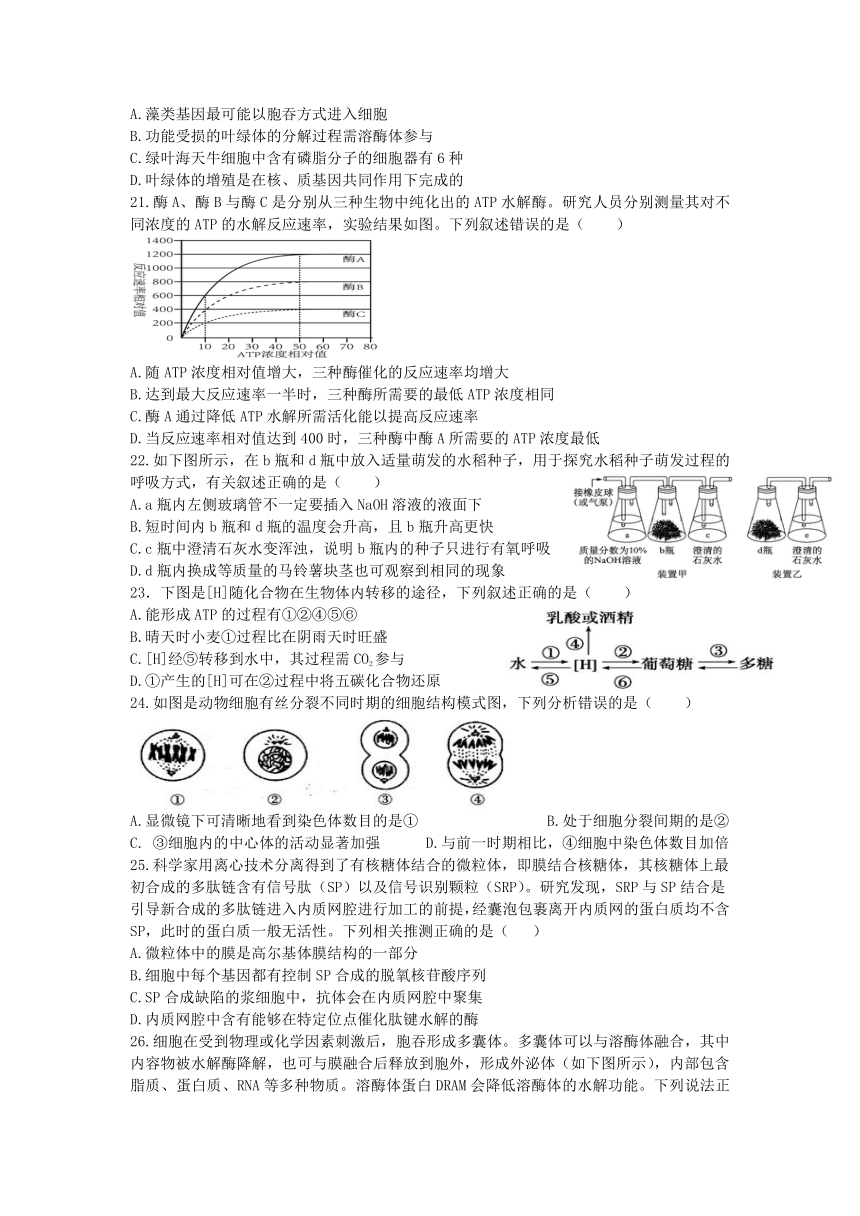 四川省德阳市第五中学2023-2024学年高三上学期开学考试生物试题(有答案)