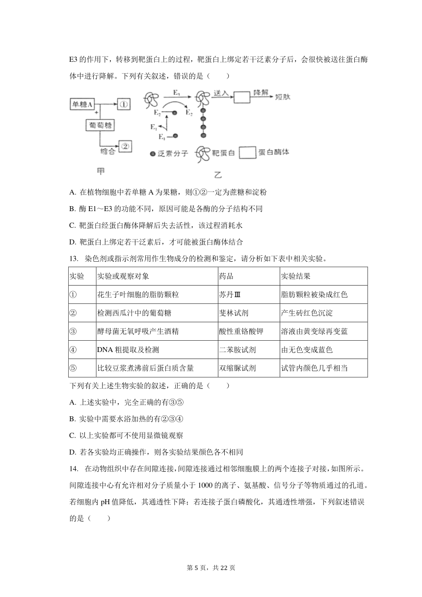 2023-2024学年重庆市七校联考高三（上）开学生物试卷（含解析）