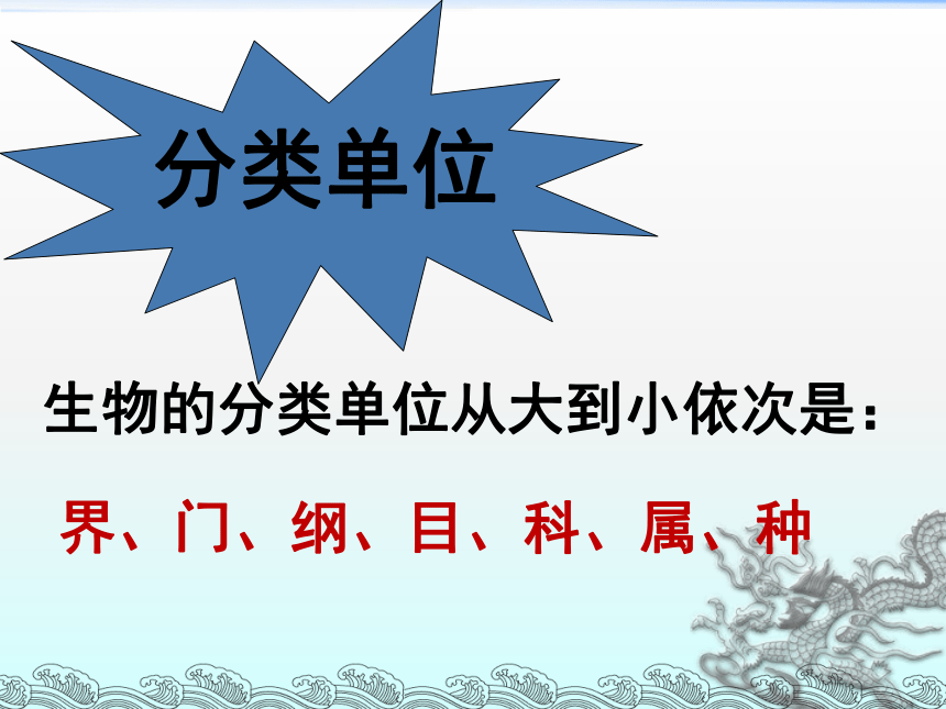 从种到界 课件（共24张PPT）