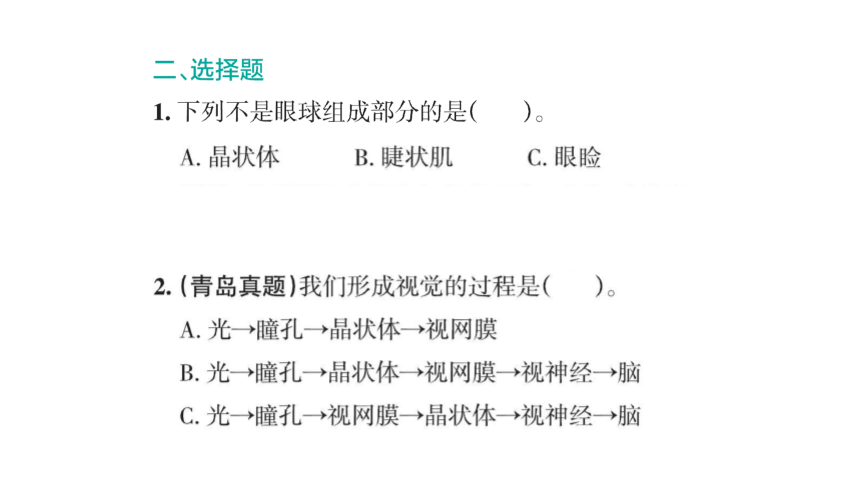 青岛版六年级科学下册第一单元课堂知识回顾与练习 复习课件(共31张PPT)