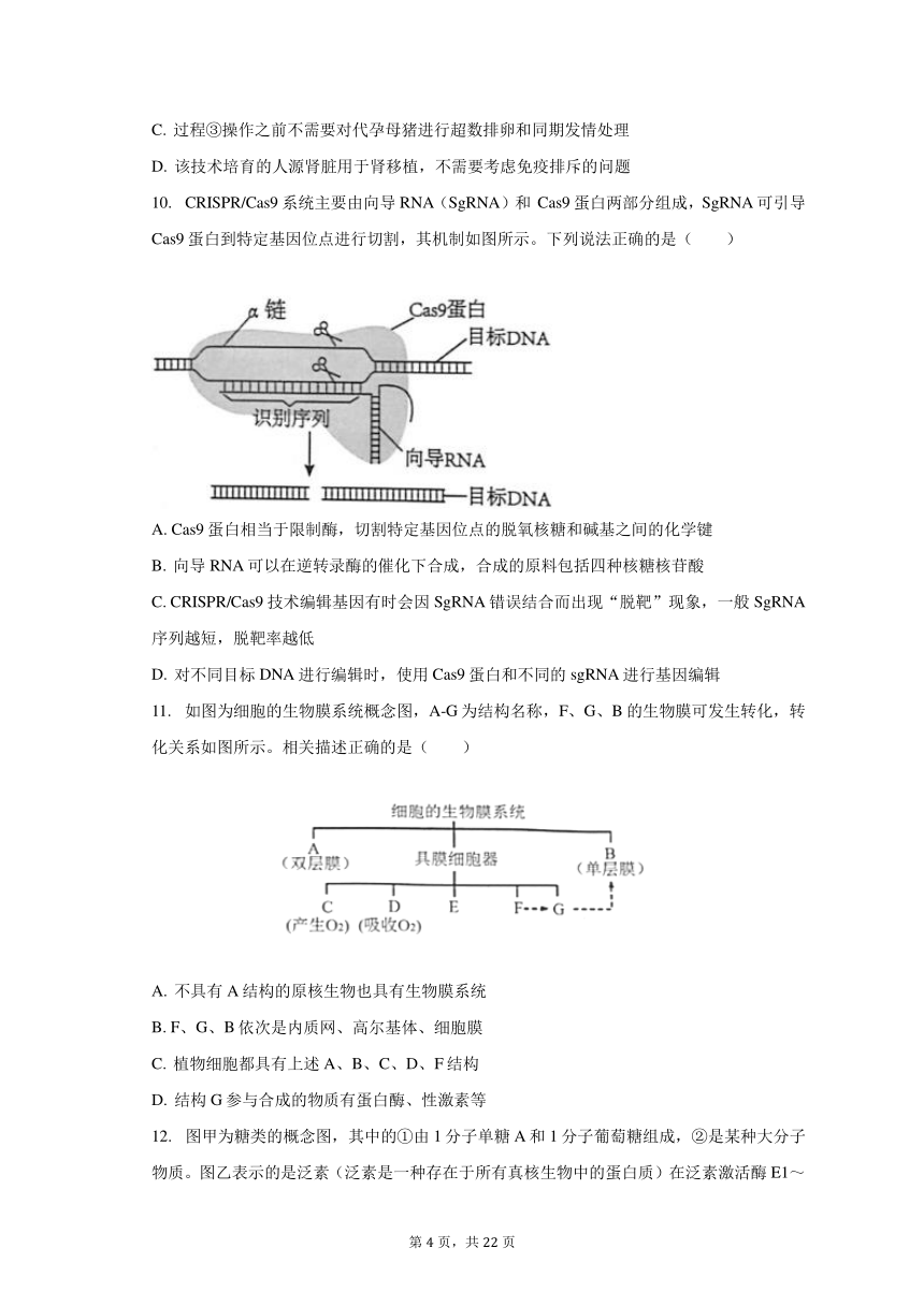 2023-2024学年重庆市七校联考高三（上）开学生物试卷（含解析）