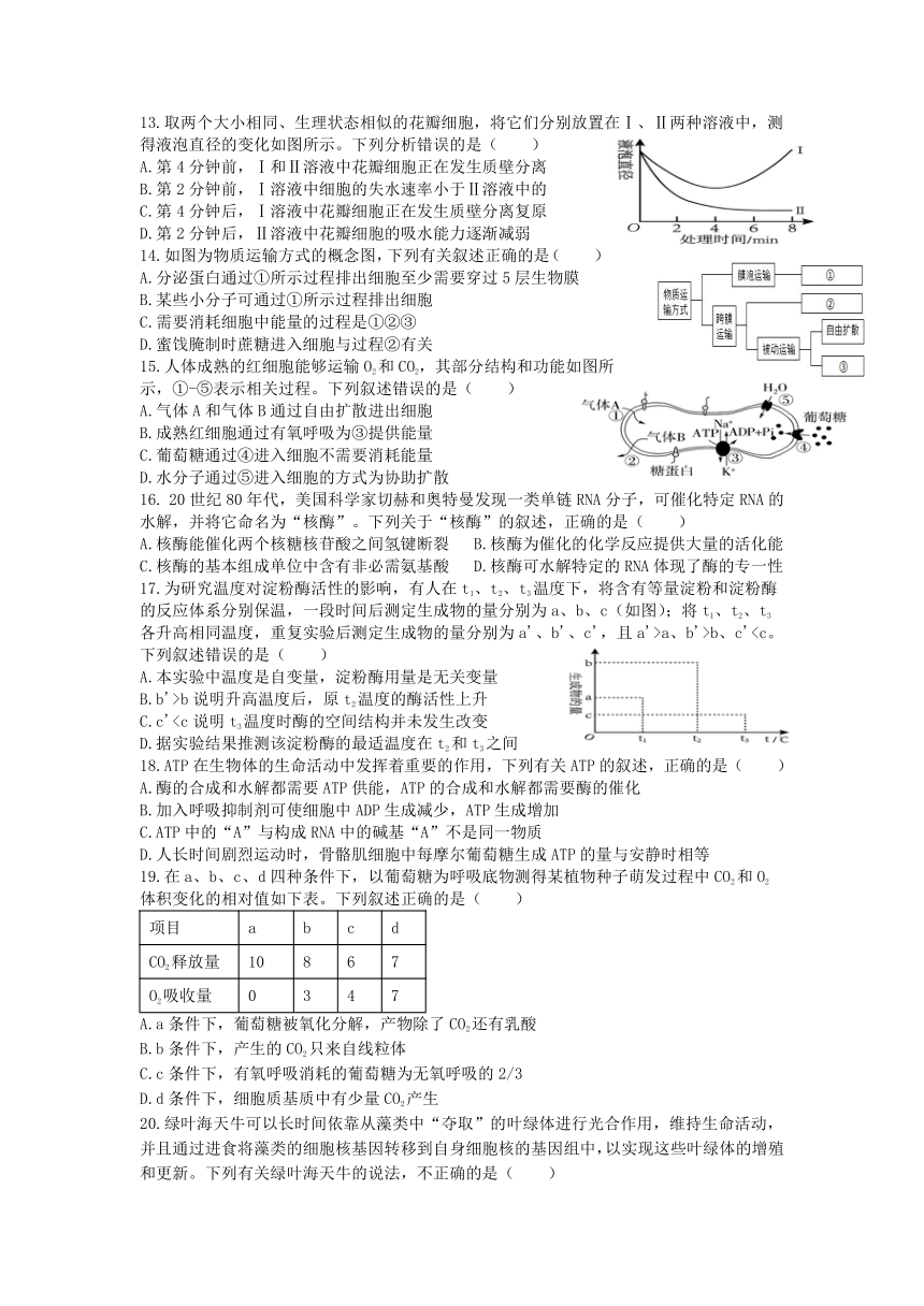 四川省德阳市第五中学2023-2024学年高三上学期开学考试生物试题(有答案)