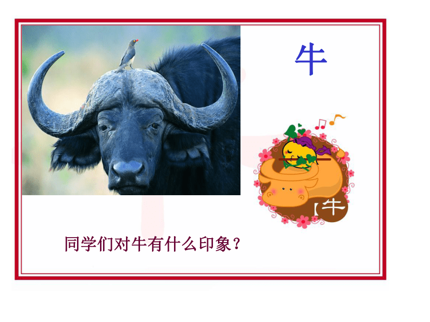 （北师大版）五年级语文下册课件 牛和鹅