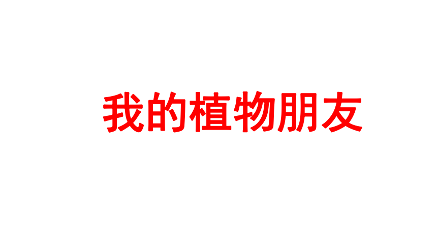 三年级下册语文课件-第一单元 习作一：我的植物朋友 人教部编版(共21张PPT)