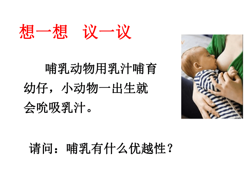 《哺乳类》 课件  (共74张PPT)