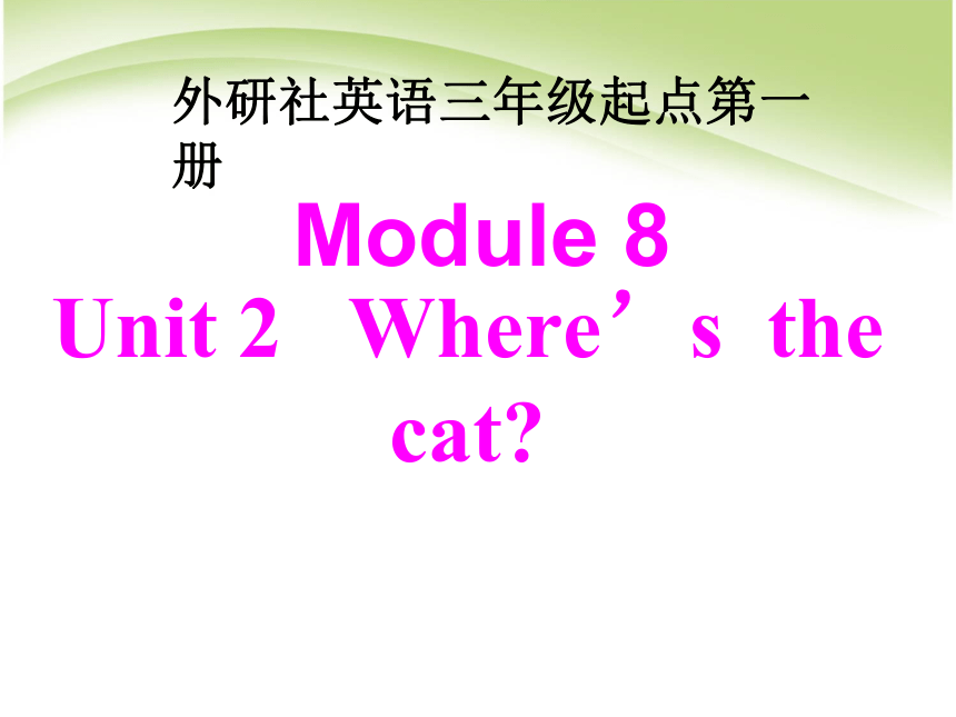 Unit 2 Where’s the cat课件   (共16张PPT)