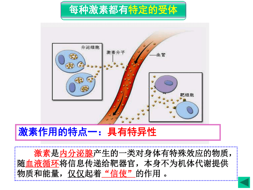 沪科版高中生物第二册第五章第三节内分泌系统中信息的传递和调节课件32张PPT