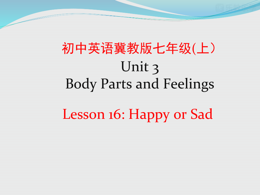 Unit 3 Body Parts and Feelings Lesson 16 Happy or Sad 课件(24张PPT)