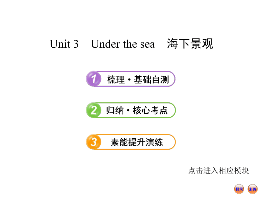 【冲刺版】2014届高考英语一轮单元复习冲刺精品课件选修7  Unit 3 Under the sea（人教版）