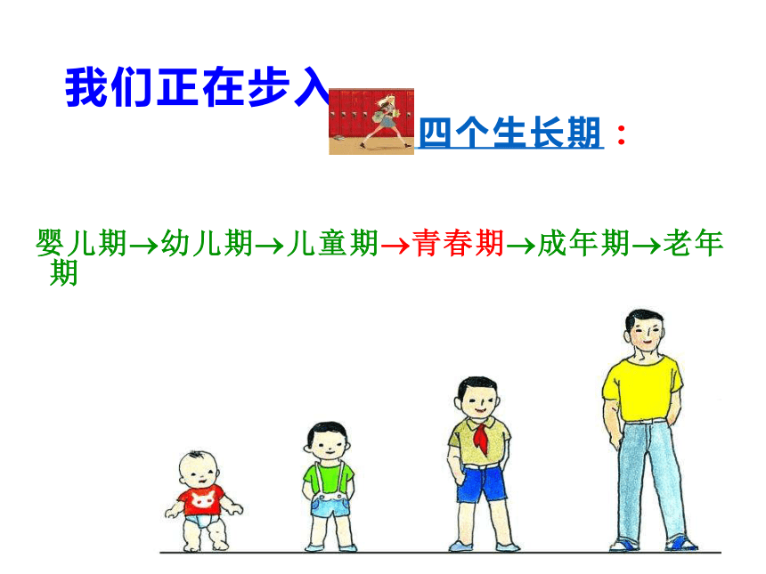 课件预览