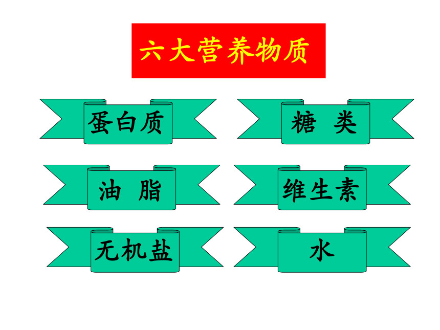 课题1  人类重要的营养物质（共34张ppt）