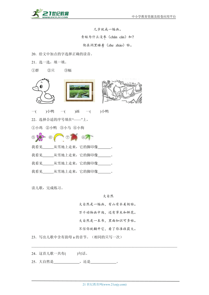 课件预览