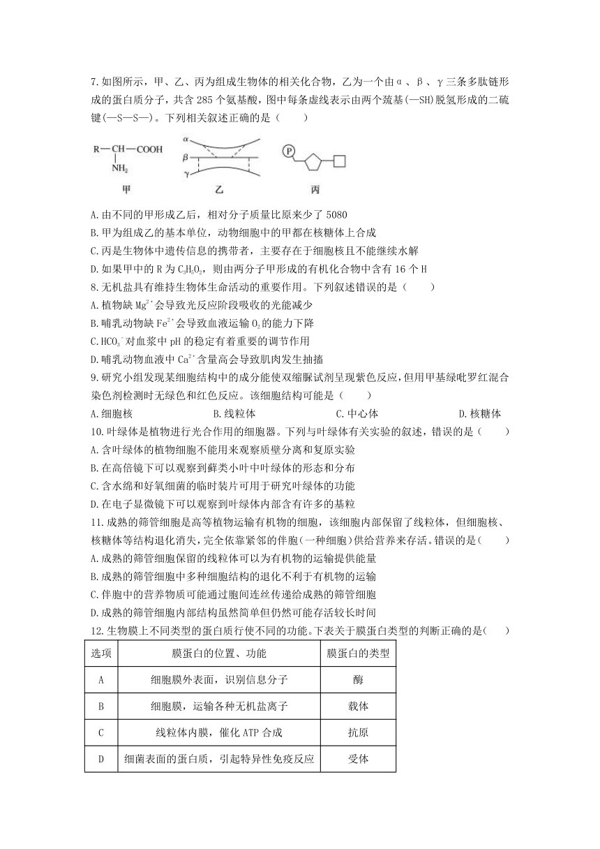 四川省德阳市第五中学2023-2024学年高三上学期开学考试生物试题(有答案)