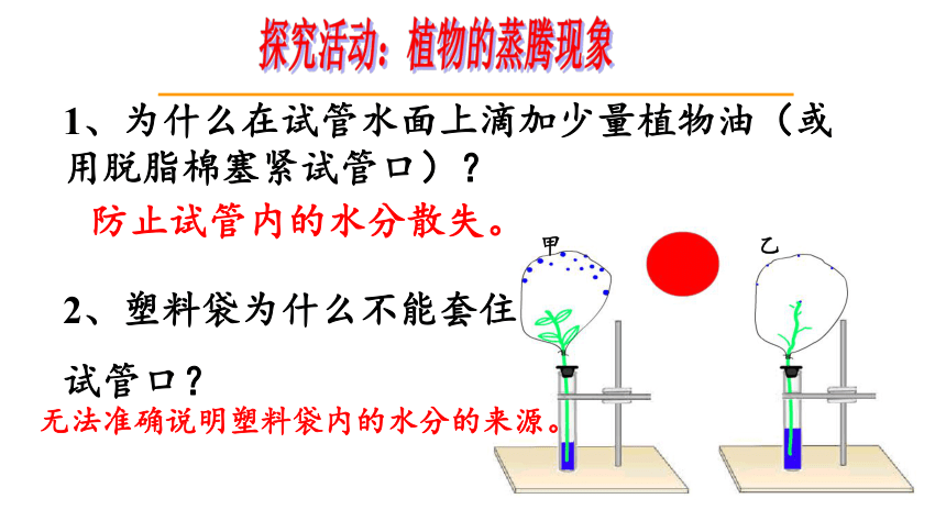 济南版七年级上册生物2.1.2 绿色植物的蒸腾作用课件(共45张PPT)