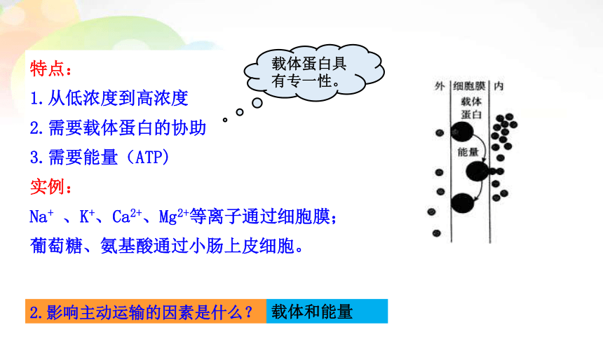 人教版（2019）必修1课件: 4.2主动运输与胞吞胞吐(共23张PPT)