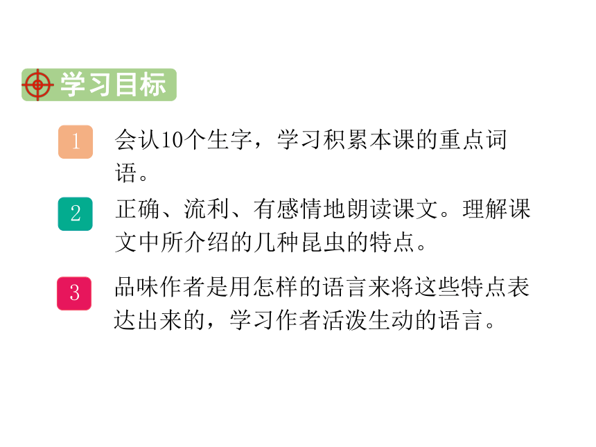 人教部编版语文三年级下册PPT课件4 昆虫备忘录（33张ppt）