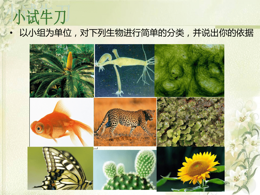 苏教版八上生物  14.4 生物的分类 课件（27张PPT）