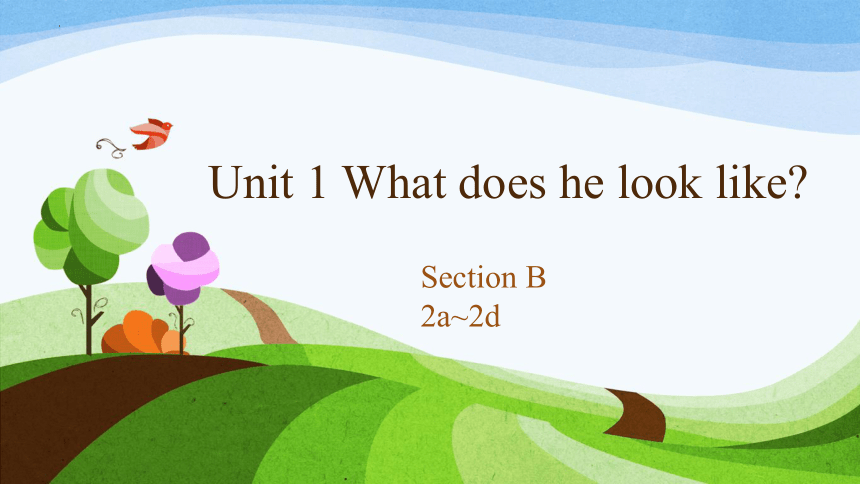 Unit 1 What does he look like Section B 2a-2d 课件 +嵌入视频 (共34张PPT)