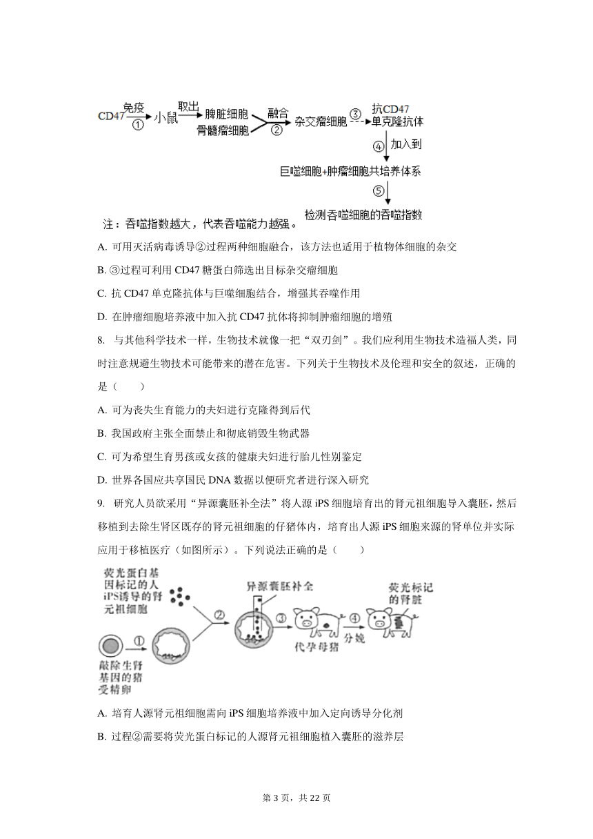 2023-2024学年重庆市七校联考高三（上）开学生物试卷（含解析）