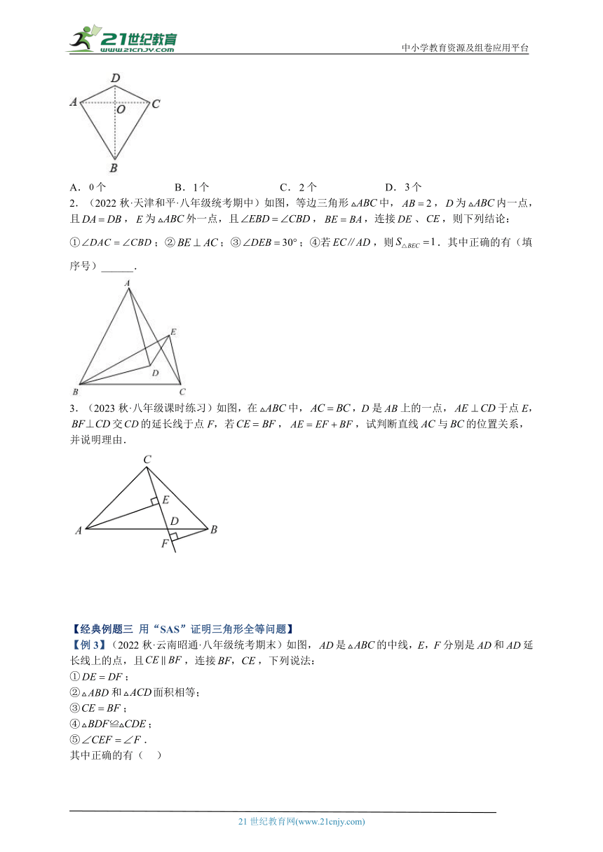 浙教版第1章《三角形的初步认识》专题1 全等三角形的判定与性质重难点题型专训（解析版）