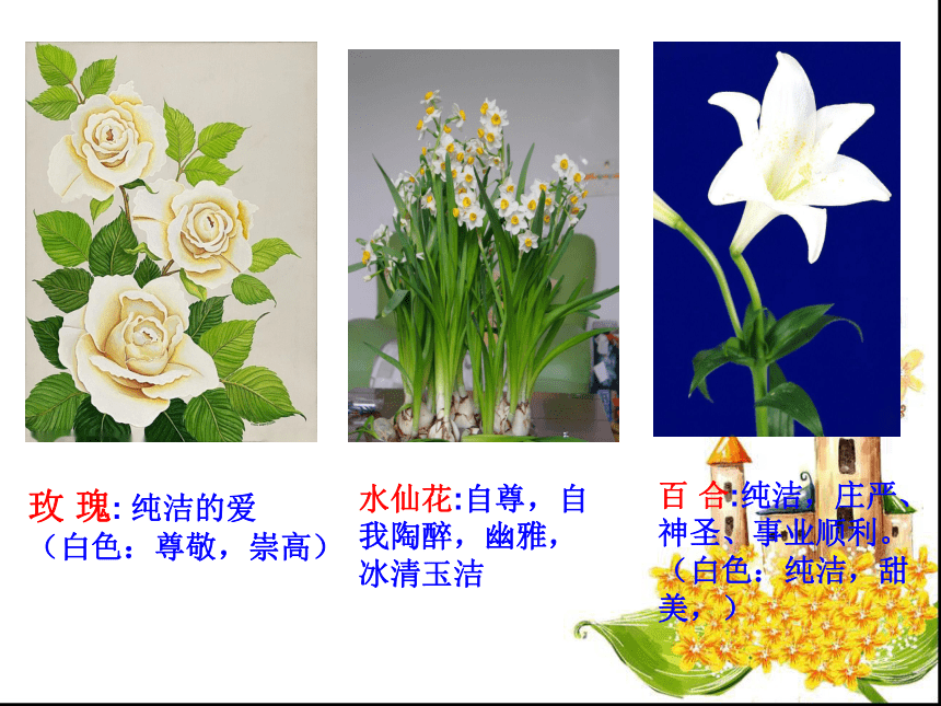 岭南版 五年级上册美术课件-2.6印出美丽的瓶花 （27张PPT）