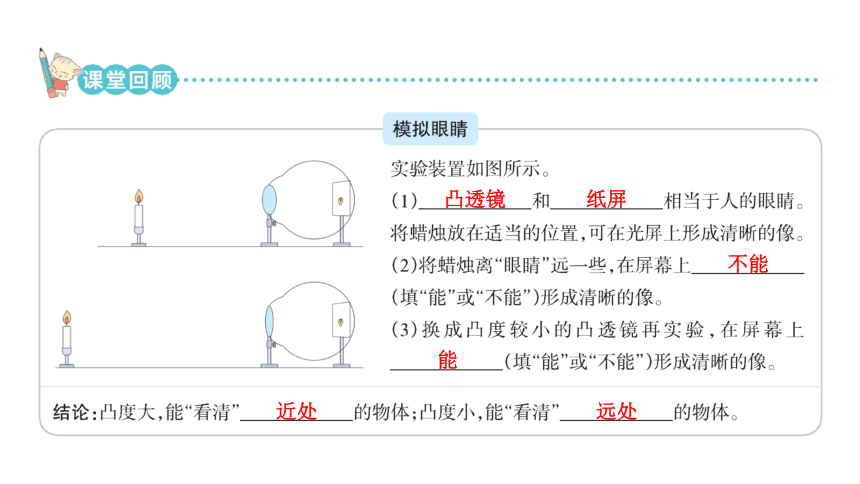 青岛版六年级科学下册第一单元课堂知识回顾与练习 复习课件(共31张PPT)