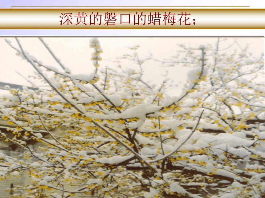 雪课件