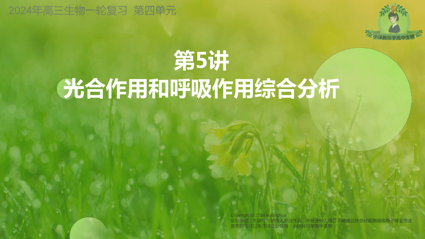 课件预览