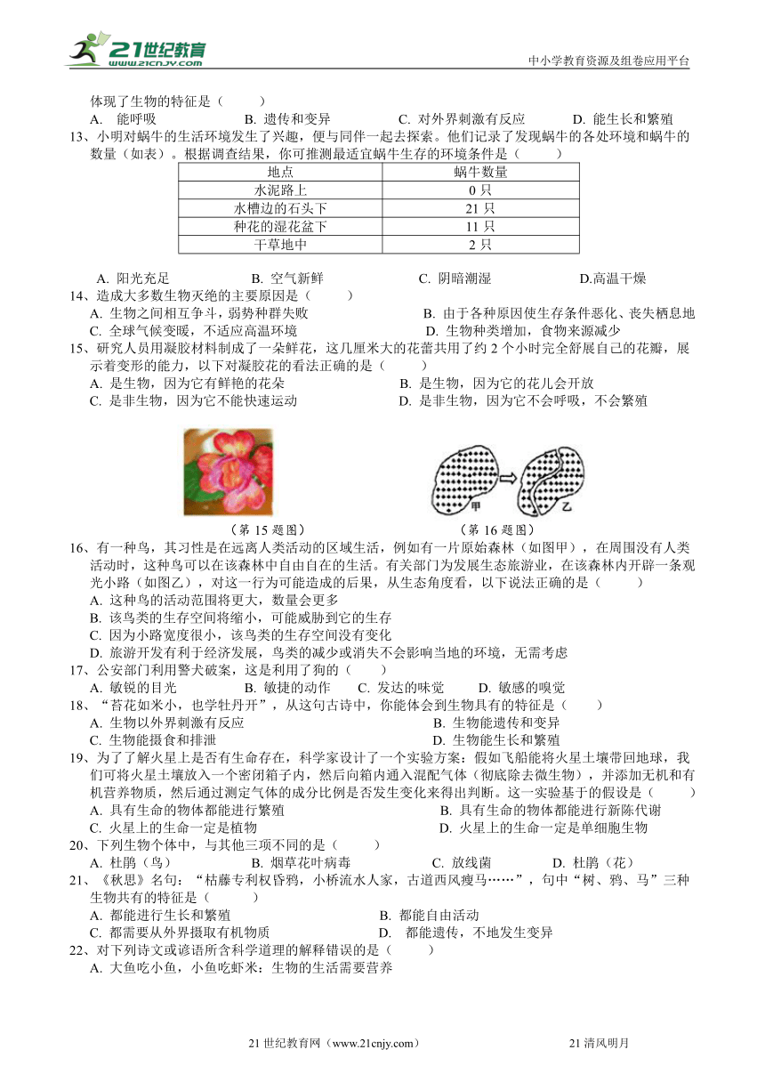 课件预览