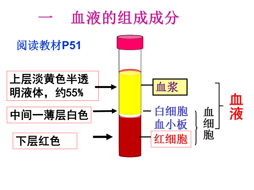 第四章第一节 流动的组织血液课件（29张PPT）