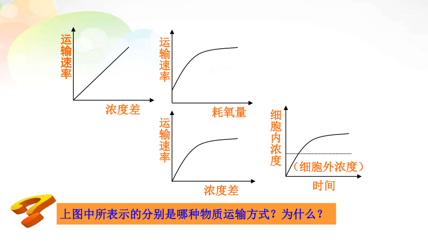 人教版（2019）必修1课件: 4.2主动运输与胞吞胞吐(共23张PPT)