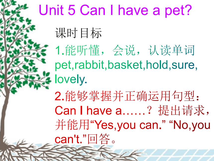 unit5 Can I have a pet 课件1（28张PPT，内嵌音频）