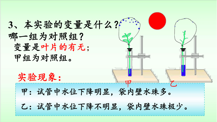 济南版七年级上册生物2.1.2 绿色植物的蒸腾作用课件(共45张PPT)