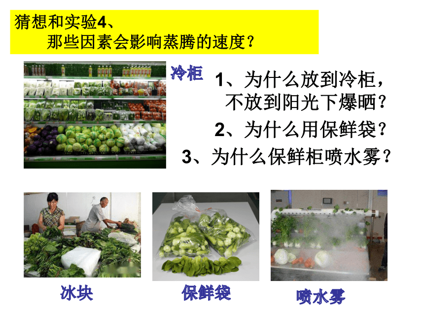 4.5 植物的叶与蒸腾作用（第1课时）（课件 15张ppt）