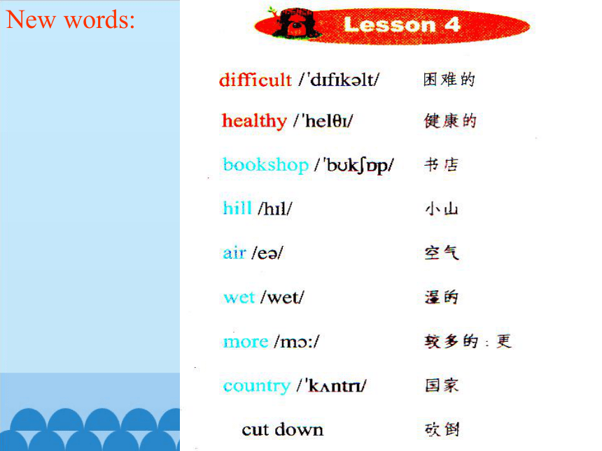 Lesson 4   What kind of books will you buy ？第四课时 课件(共12张PPT）