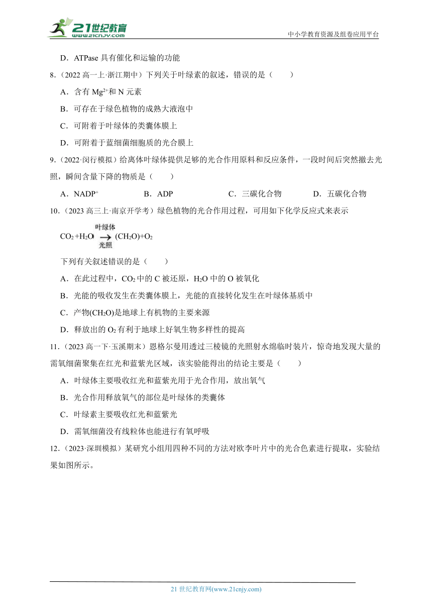 2023-2024学年高一上学期苏教版（2019）高中生物必修1第三章第二节光合作用——光能的捕获和转换综合练习题（含解析）