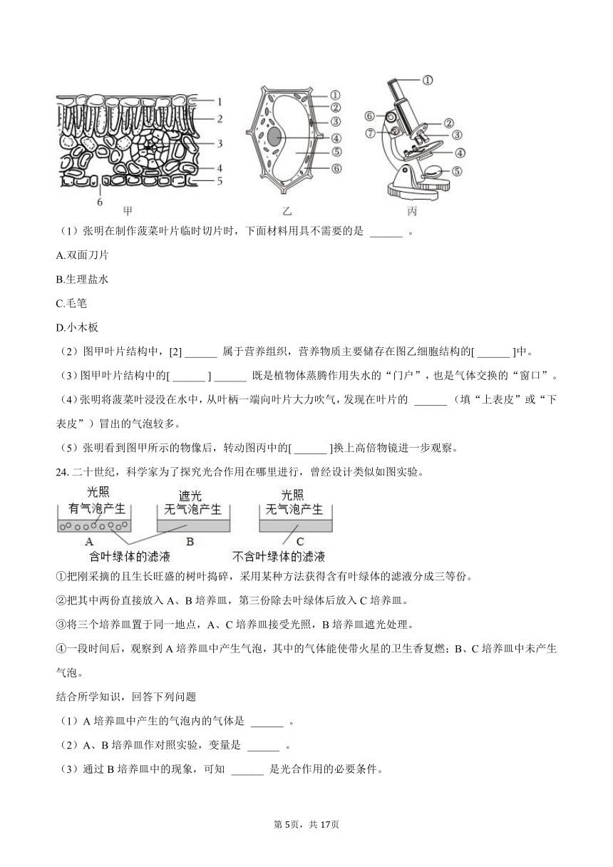 课件预览