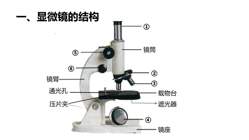 197777ebd708e27bc81c9375febe3734.png