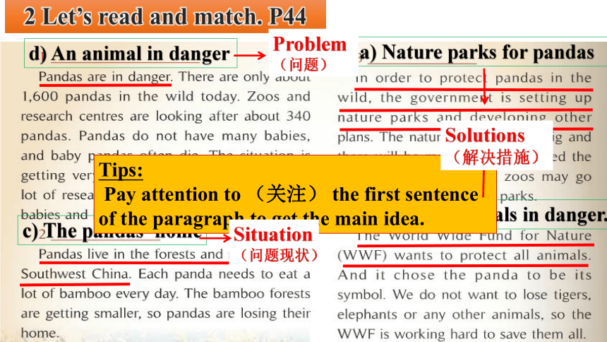 Module 6 Unit2The WWF is working hard to save them all. 2023-2024学年八上课件（22张PPT含视频）