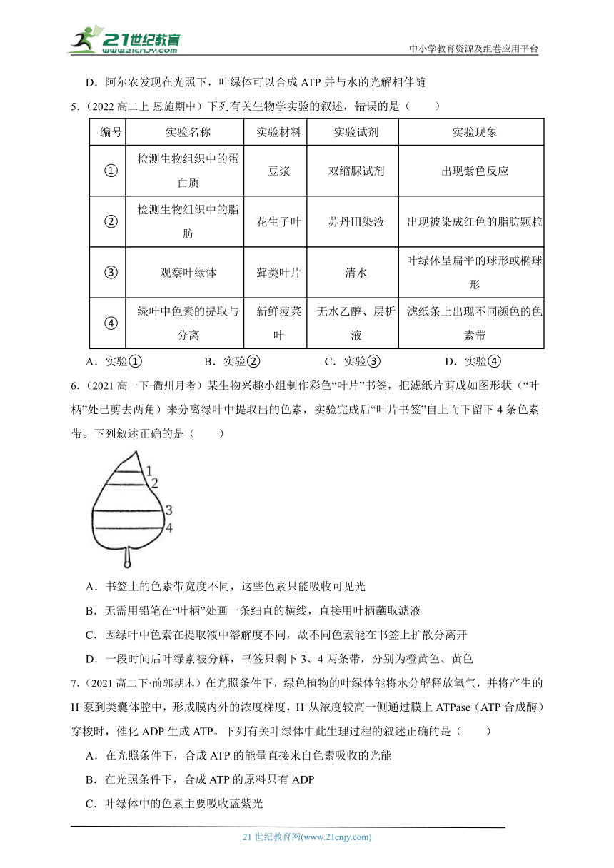 2023-2024学年高一上学期苏教版（2019）高中生物必修1第三章第二节光合作用——光能的捕获和转换综合练习题（含解析）