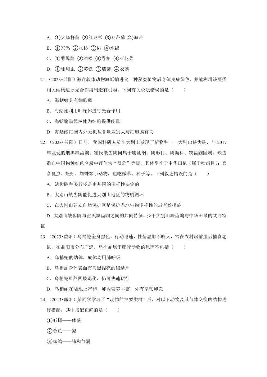 专题6生物多样性——2022-2023年湖南省中考生物试题分类（含解析）