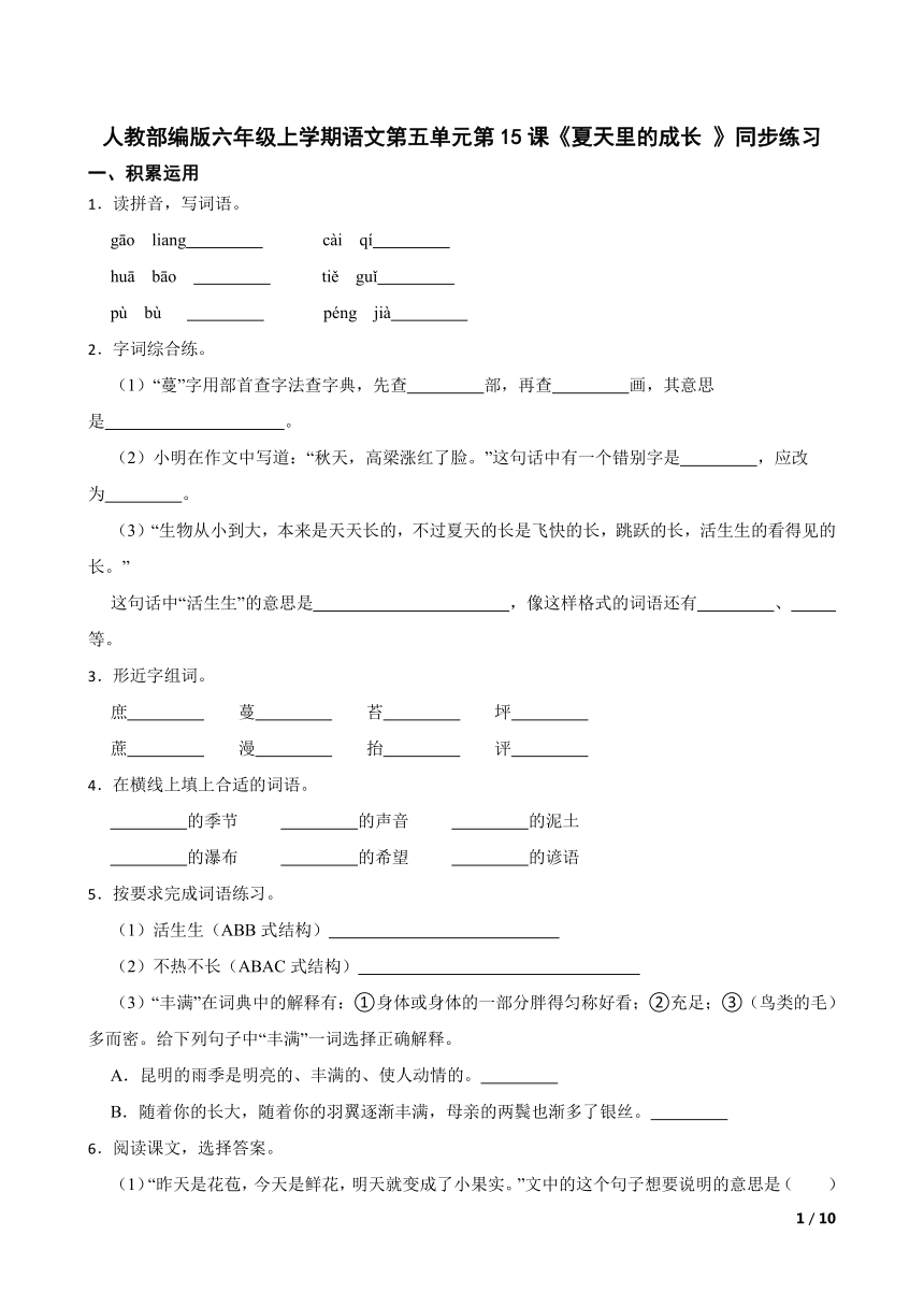 课件预览